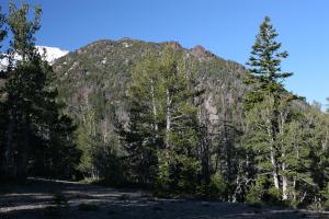 Cascades, Mt Shasta - June2012 010 copy (Custom)