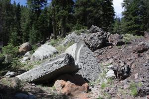 Warner Mountains - July2013 012 copy (Custom)