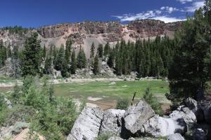 Warner Mountains - July2013 025 copy (Custom)