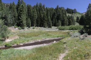 Warner Mountains - July2013 029 copy (Custom)