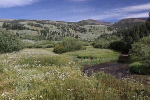 Warner Mountains - July2013 076 copy (Custom)