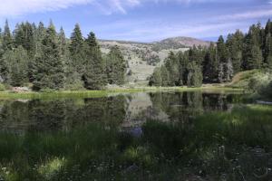 Warner Mountains - July2013 080  copy (Custom)