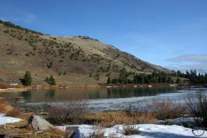 475881 copy (Custom)