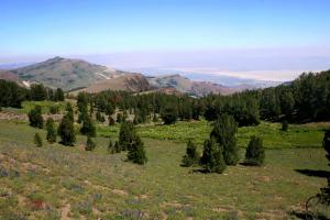 485708 copy (Custom)