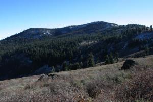 569859 copy (Custom)