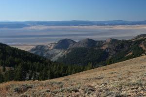 569867 copy (Custom)