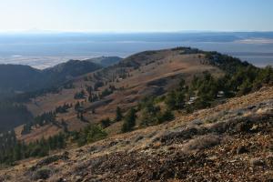 569869 copy (Custom)