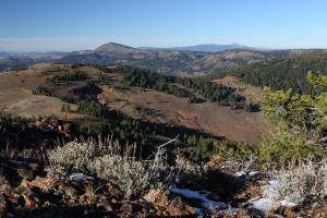 569870 copy (Custom)