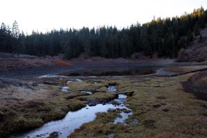 569873 copy (Custom)