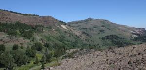 782269 copy (Custom)