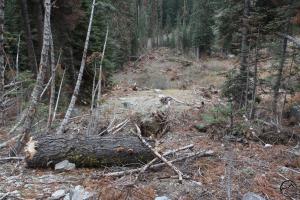 Trinity Alps, Gulch Lakes - Oct2013 159 copy (Custom)