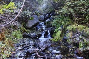 Crossing the South Fork of the Scott River. Trinity Alps, South Fork Lakes - Oct2013 040 copy (Custom)