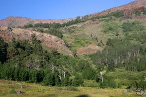 Warner Mountains - July2008 079 copy (Custom)