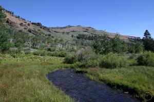 Warner Mountains - July2008 080 copy (Custom)