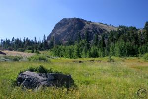 Warner Mountains - July2008 095 copy (Custom)
