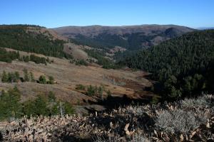 Warner Mountains - Oct2009 005 copy (Custom)