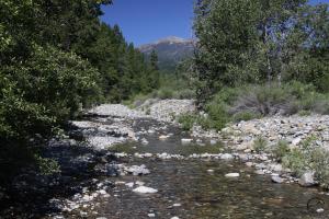 Trinnity Divide, Lake Siskiyou - July2013 002 copy (Custom)