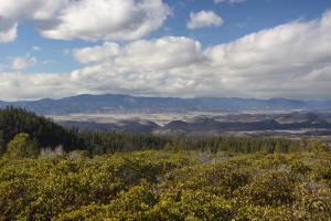 Cascades, Mt. Shasta - Feb2014 001 copy_edited-1 (Custom)