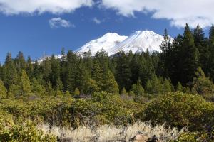Cascades, Mt. Shasta - Feb2014 002_edited-1 (Custom)