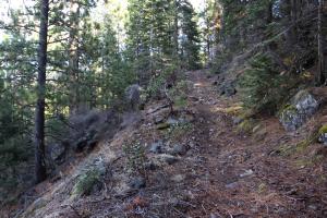 Cascades, Mt. Shasta - Feb2014 005_edited-1 (Custom)