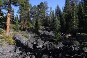 Cascades, Mt. Shasta - Feb2014 028_edited-1 (Custom)