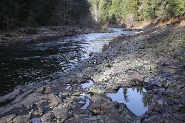 Trinity Divide, Sacramento River - Feb2014 017 (Custom)