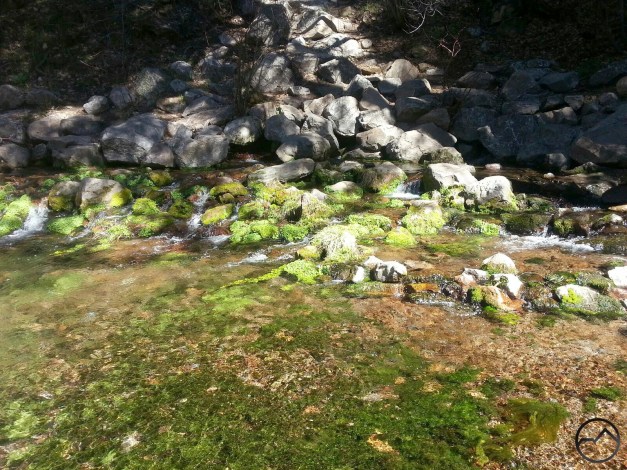 The springs at the Mount Shasta City Park.