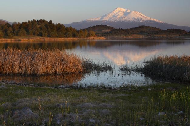 Mount Shasta reflects in the water of Trout Lake.