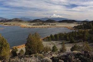 Mount Shasta dominates the view from Trout Lake.