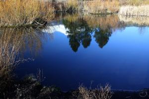 Cascades, Mt. Shasta - March2014 051 (Custom)