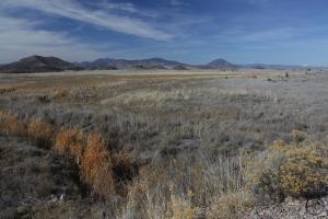 Cascades, Shasta Valley - Feb2014 026_edited-2 (Custom)