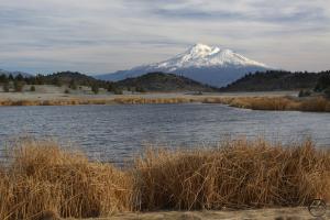Cascades, Shasta Valley - Feb2014 056_edited-1 (Custom)