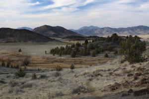 Cascades, Shasta Valley - Feb2014 067 copy (Custom)