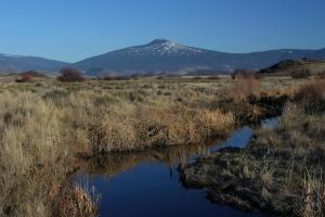 Shasta Valley - Jan2011 001  (Custom)