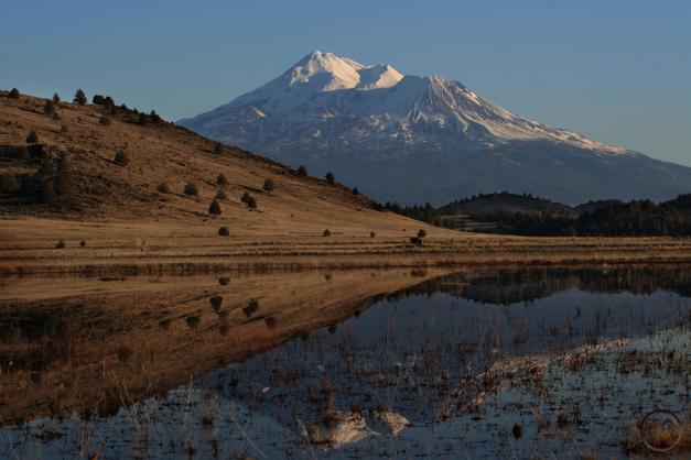 Shasta Valley - Jan2011 014  (Custom)