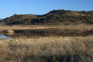 Shasta Valley - Jan2011 017 (Custom)