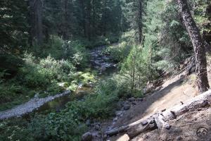 Cascades, McCloud River - Sept2013 009 copy (Custom)