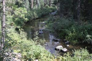Cascades, McCloud River - Sept2013 010 copy (Custom)