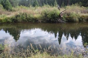 Cascades, McCloud River - Sept2013 027 copy (Custom)