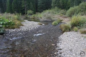 Cascades, McCloud River - Sept2013 029 copy (Custom)