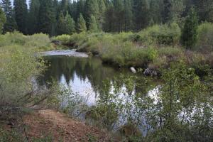 Cascades, McCloud River - Sept2013 033 copy (Custom)