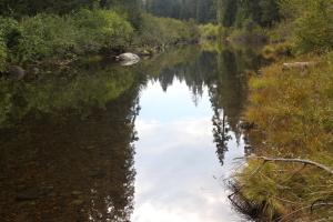 Cascades, McCloud River - Sept2013 046_edited-1 (Custom)