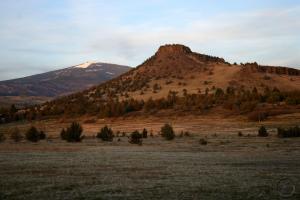 Cascades, Shasta & Gold Bluffs Beach - Feb07 045 (Custom)