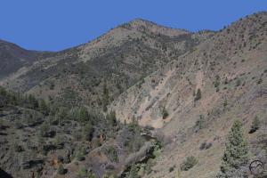 Klamath Mountains, Shasta River - April2014 001 (Custom)