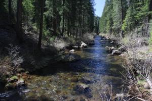 Cascades, McCloud River - April2014 014 copy (Custom)