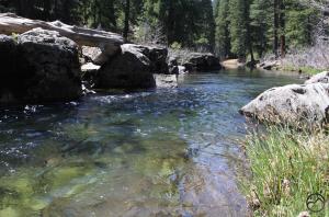 Cascades, McCloud River - April2014 040