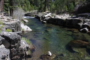 Cascades, McCloud River - April2014 043 copy (Custom)