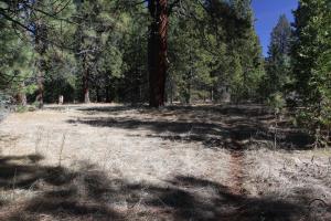 Cascades, McCloud River - Feb2014 002 (Custom)