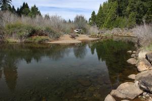 Cascades, McCloud River - May2014 007 (Custom)