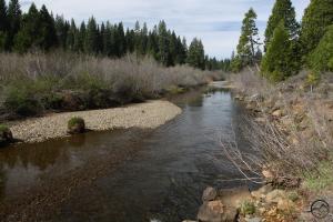 Cascades, McCloud River - May2014 010 (Custom)